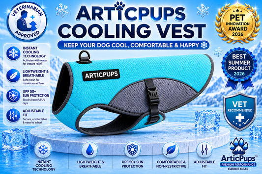 Cooling Vest for Dogs | Prevent Overheating in Seconds