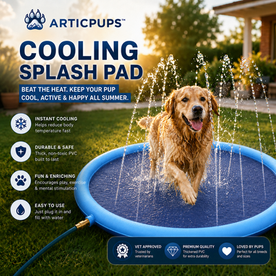 Splash Pad | Summer Water Playground For Dogs