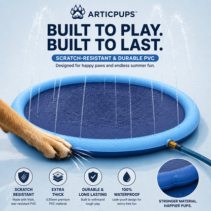 Splash Pad | Summer Water Playground For Dogs